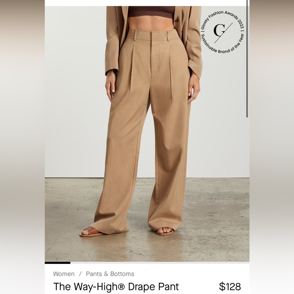Everlane Way-High Drape Pant